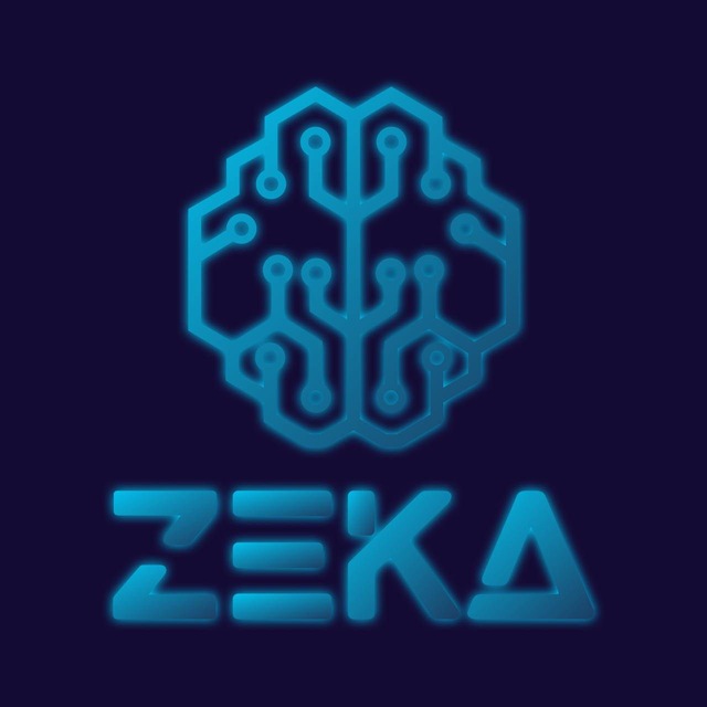 Zeka Team